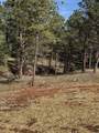 5722 Wind River Rd - Photo 22