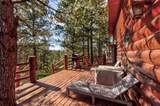 24651 Triple M Ranch Rd - Photo 11