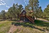 24651 Triple M Ranch Rd - Photo 8