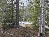 TBD Terry Peak Summit Rd - Photo 13