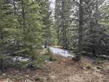 TBD Terry Peak Summit Rd - Photo 19