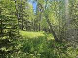 TBD Terry Peak Summit Rd - Photo 4