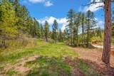 TBD Maitland Rd - Photo 11