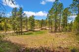 TBD Maitland Rd - Photo 14
