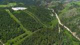 88.9 Acres Wasp Rd - Photo 10