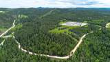 88.9 Acres Wasp Rd - Photo 15