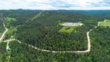 88.9 Acres Wasp Rd - Photo 16