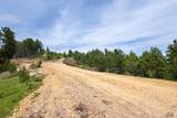 88.9 Acres Wasp Rd - Photo 4
