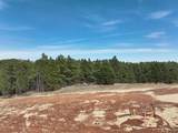 5438 Wind River Rd - Photo 1