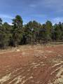 5438 Wind River Rd - Photo 11