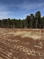 5438 Wind River Rd - Photo 12