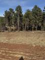 5438 Wind River Rd - Photo 14