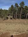 5438 Wind River Rd - Photo 15