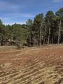 5438 Wind River Rd - Photo 16