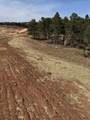 5438 Wind River Rd - Photo 17