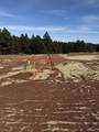 5438 Wind River Rd - Photo 3