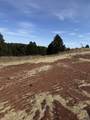 5438 Wind River Rd - Photo 5