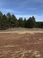 5438 Wind River Rd - Photo 6