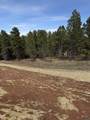 5438 Wind River Rd - Photo 7
