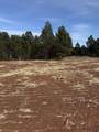 5438 Wind River Rd - Photo 8