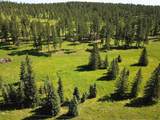 TBD Rocky Johnson Rd - Photo 5