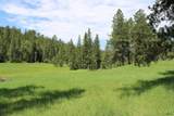 TBD Rocky Johnson Rd - Photo 11