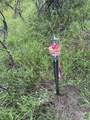 TBD Memorial Rd - Photo 10
