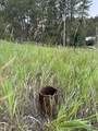 TBD Memorial Rd - Photo 13