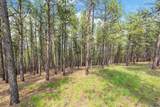 TBD Borglum Rd - Photo 4