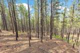 TBD Borglum Rd - Photo 5