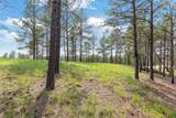 TBD Borglum Rd - Photo 8