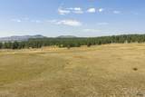 TBD Turkey Trail - Photo 11