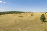 TBD Turkey Trail - Photo 12
