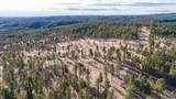 TBD Bighorn Rd - Photo 4