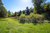 20766 Shirttail Gulch - Photo 28