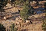 TBD Elk Run Rd - Photo 10