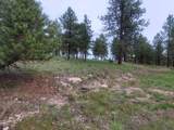 24653 Outback Trail - Photo 11