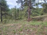 24653 Outback Trail - Photo 14