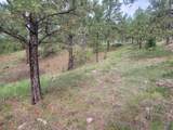 24653 Outback Trail - Photo 15