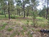24653 Outback Trail - Photo 17