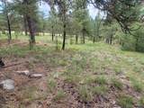 24653 Outback Trail - Photo 18