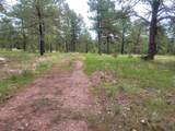 24653 Outback Trail - Photo 4