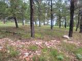 24653 Outback Trail - Photo 5