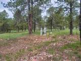 24653 Outback Trail - Photo 6