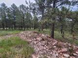 24653 Outback Trail - Photo 9