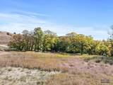 3630 Twisted Oak Rd - Photo 8