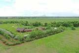 12526 Apple Rd - Photo 28