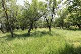 12526 Apple Rd - Photo 31