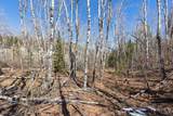 Lot 21A Elk View Loop - Photo 12