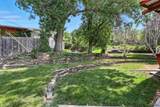 2118 Buena Vista Dr - Photo 29